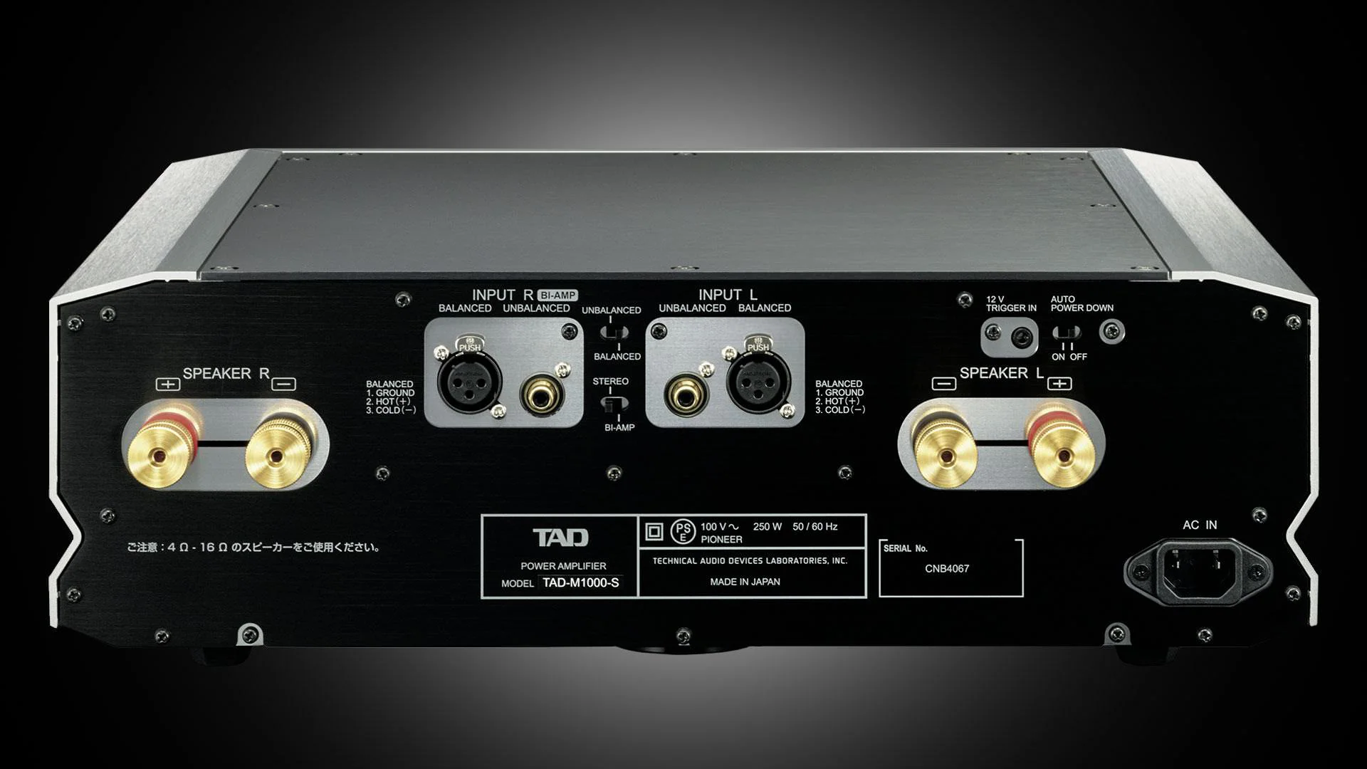 TAD M1000 Power Amplifier