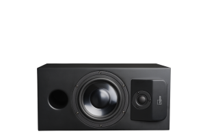 Lyngdorf CS-1, Full Range Speaker, matte black