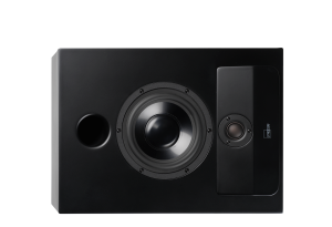 Lyngdorf CS-2, Full Range Speaker, matte Black