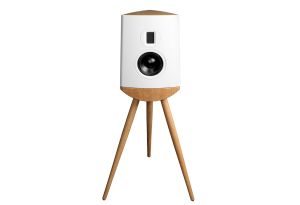 Lyngdorf Cue-100 High-end audio design loudspeaker, black with black base